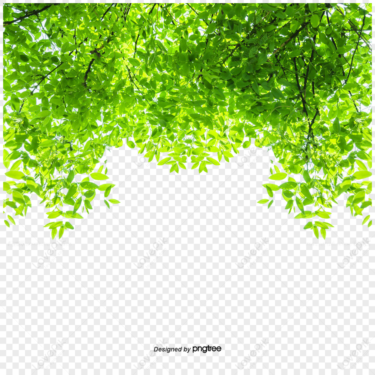 Creeper PNG, Vector, PSD, and Clipart With Transparent Background for Free  Download