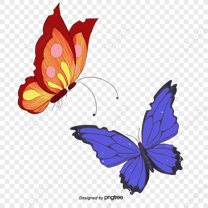 Mariposas decorativas ilustración del vector. Ilustración de animal -  4306631