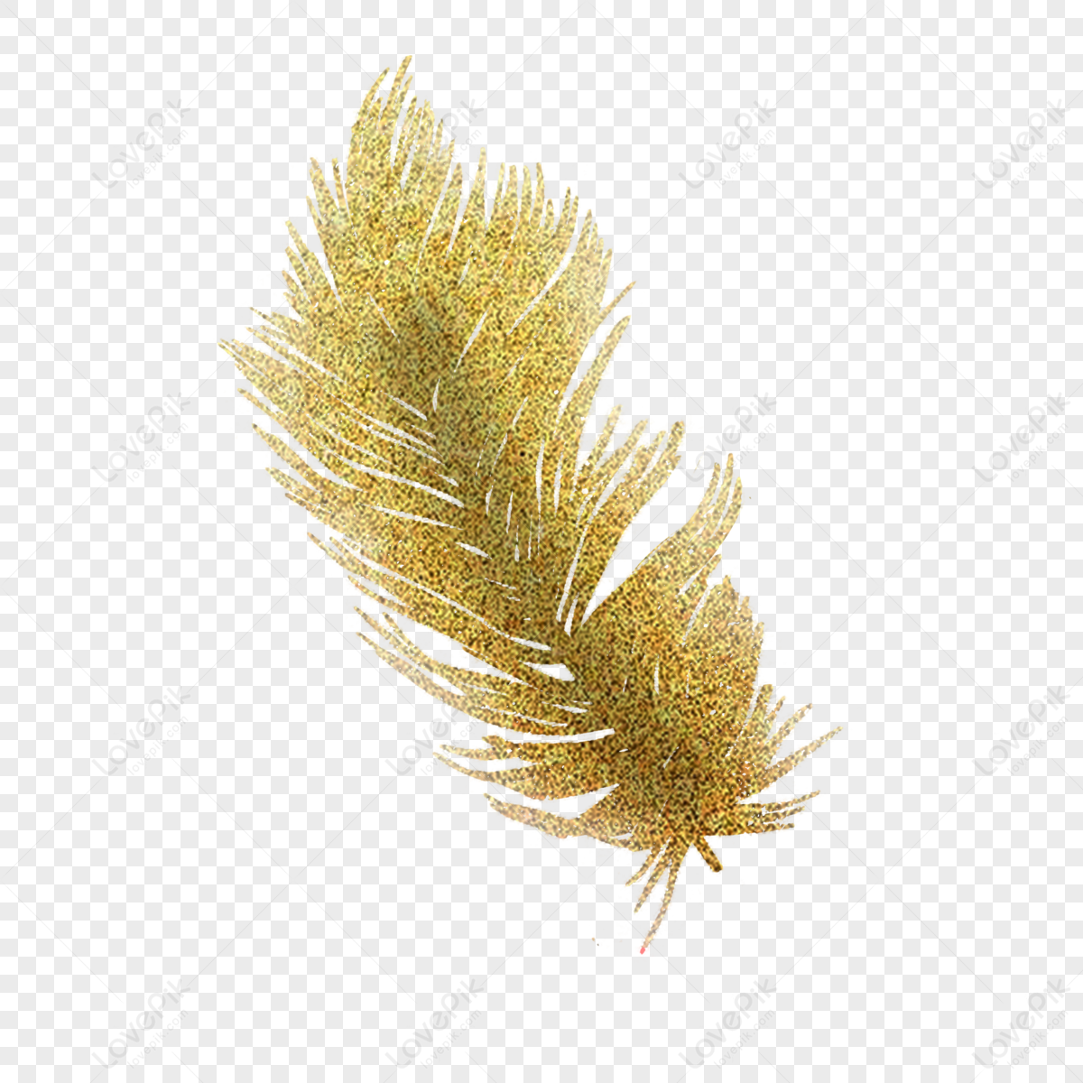 Gold Feathers PNG Transparent Images Free Download, Vector Files