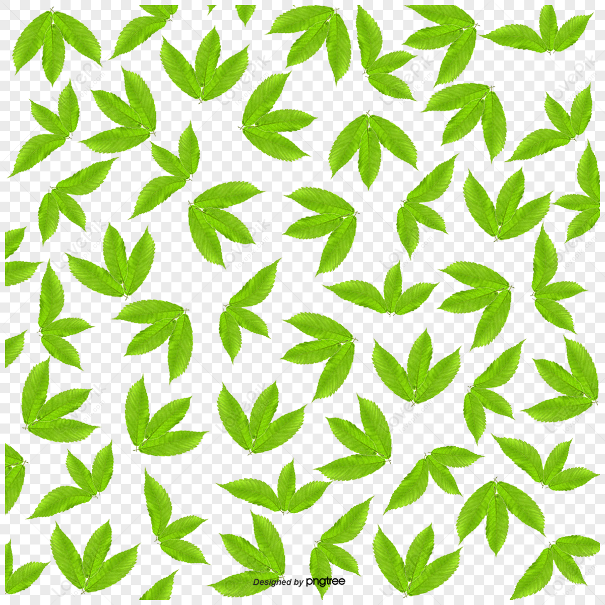 10 Printed Leaf Texture (PNG Transparent)