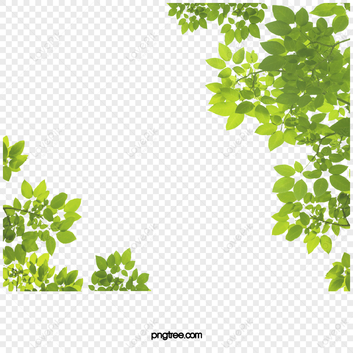 Small Plastic Photo Frame PNG Images & PSDs for Download