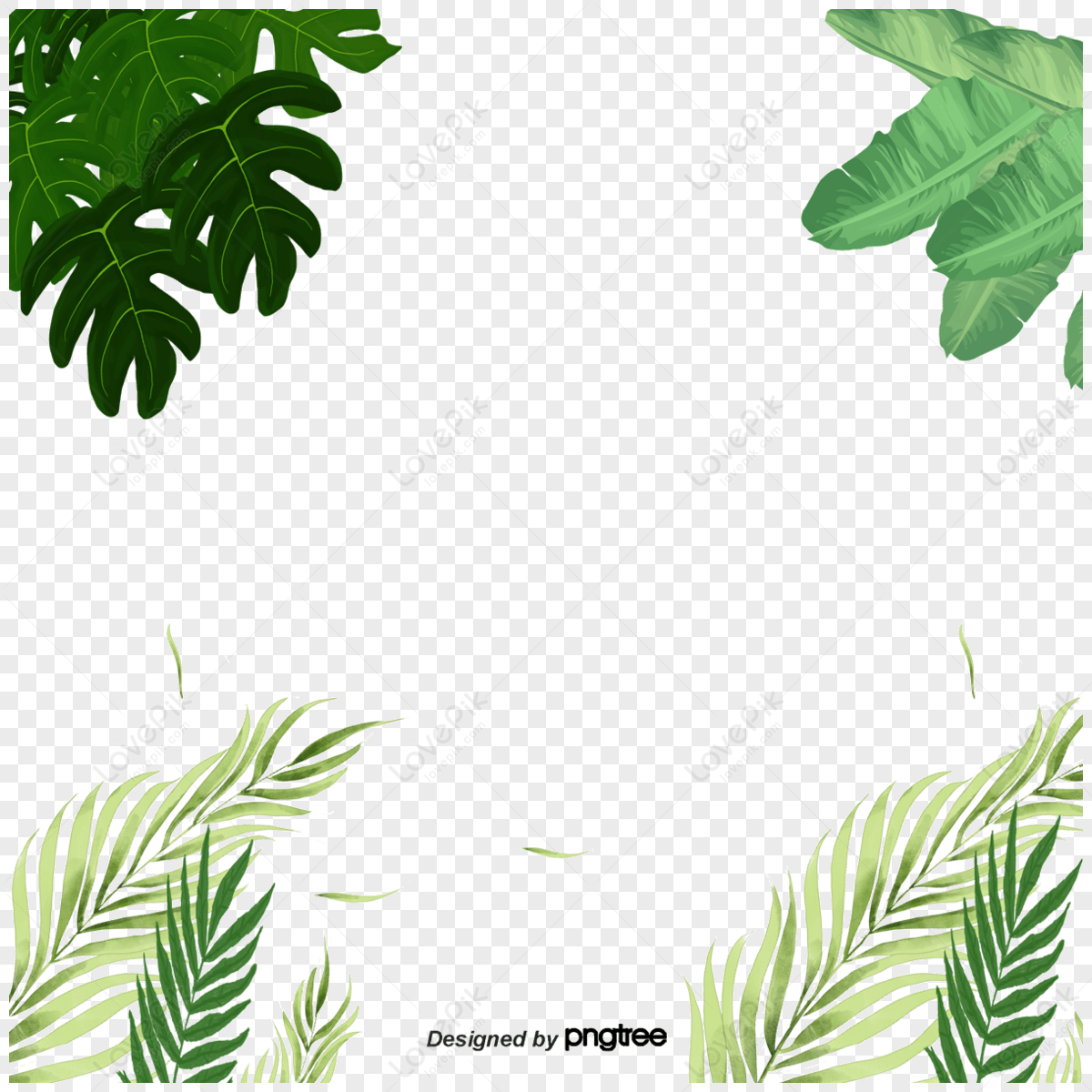 Plant Border,illustration,vacation,season PNG Transparent Background ...