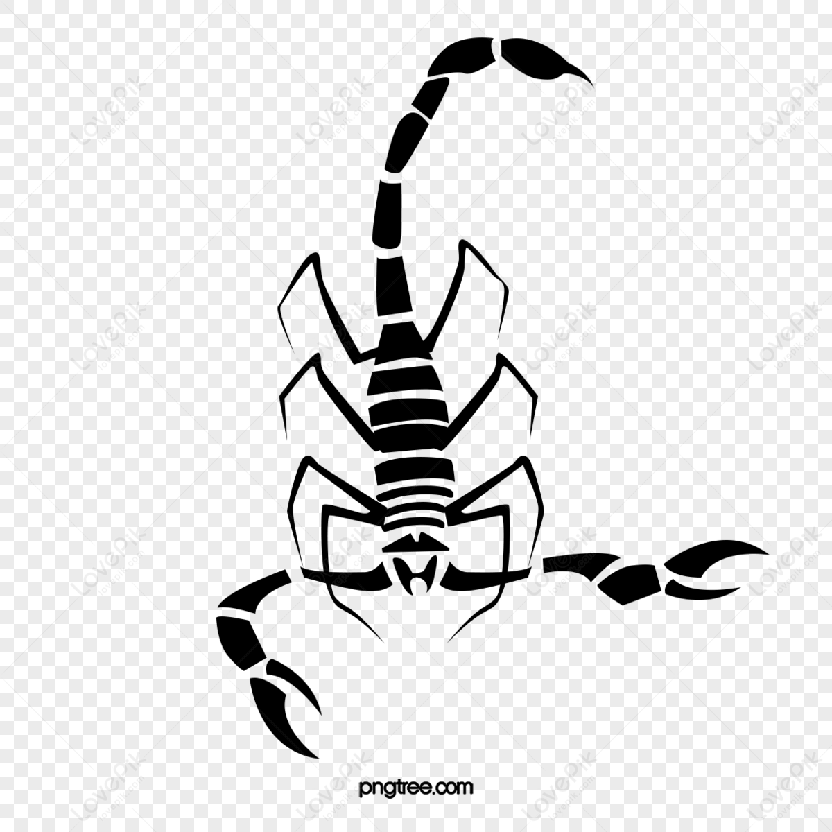 Scorpion Clipart PNG Images With Transparent Background | Free Download ...