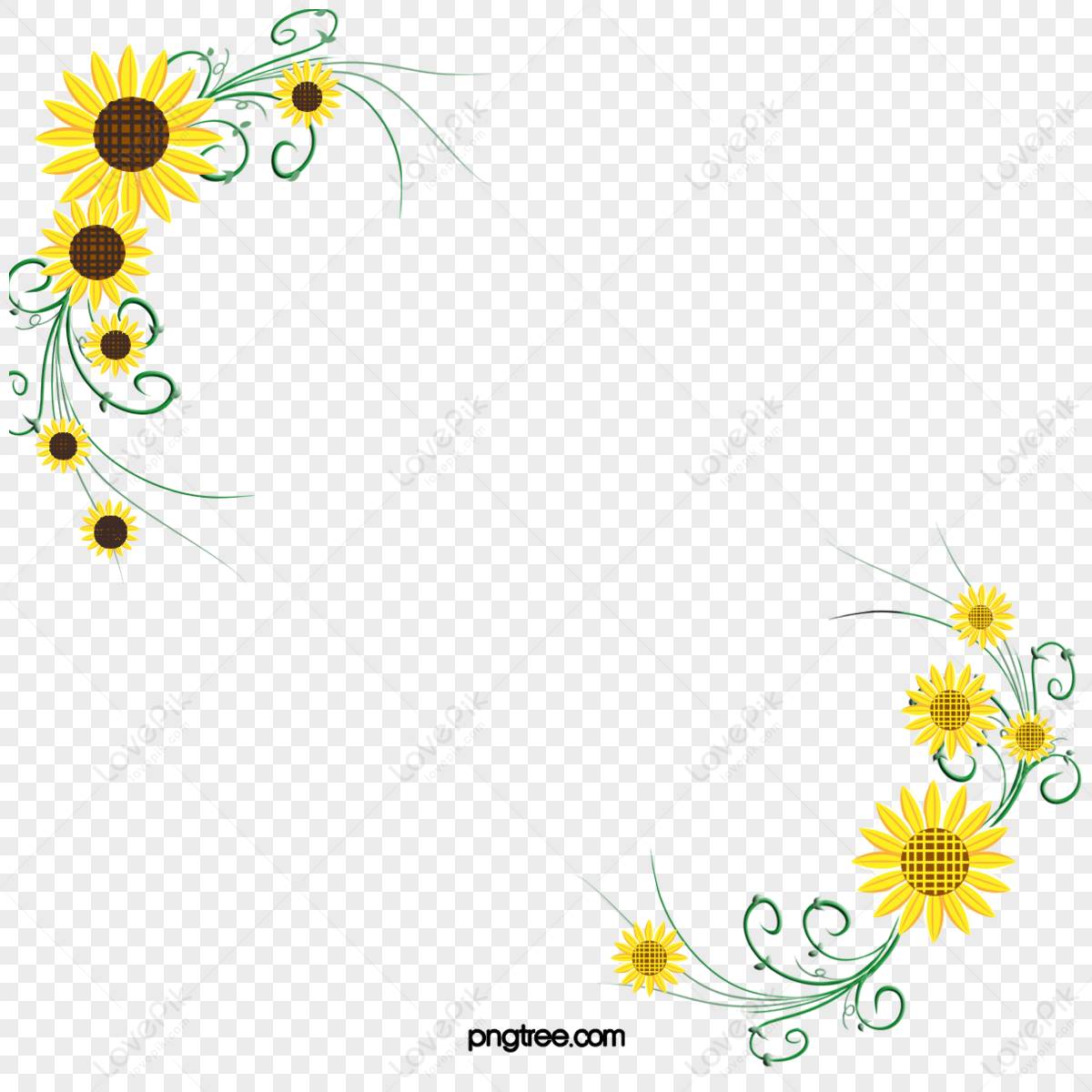 Sunflower,vines,decorative,border PNG Transparent And Clipart Image For ...