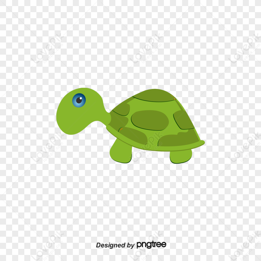 Tortoise,cute Turtle,cartoon Turtle PNG Picture And Clipart Image For ...