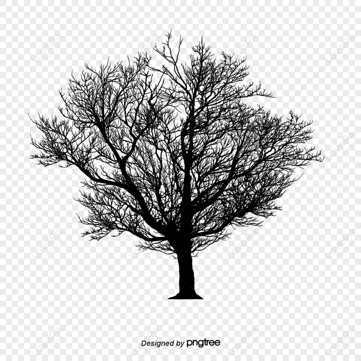 tree silhouette,albizia procera,ceiba pentandra,creative tree png white transparent