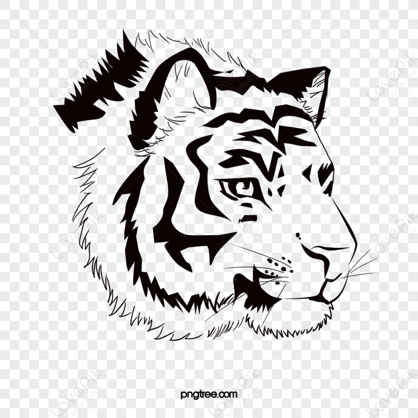 15 Cool Tiger Drawings That Make Great References - Beautiful Dawn Designs  | Tiger drawing, Tiger tattoo, Tiger tattoo design