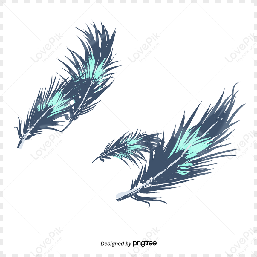 Peacock feather on a white background Stock Vector Images - Alamy
