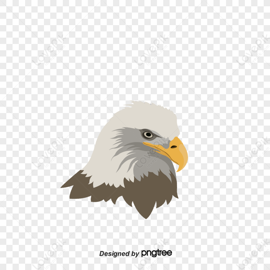 United States, Eagle, Solo - Zerochan Anime Image Board
