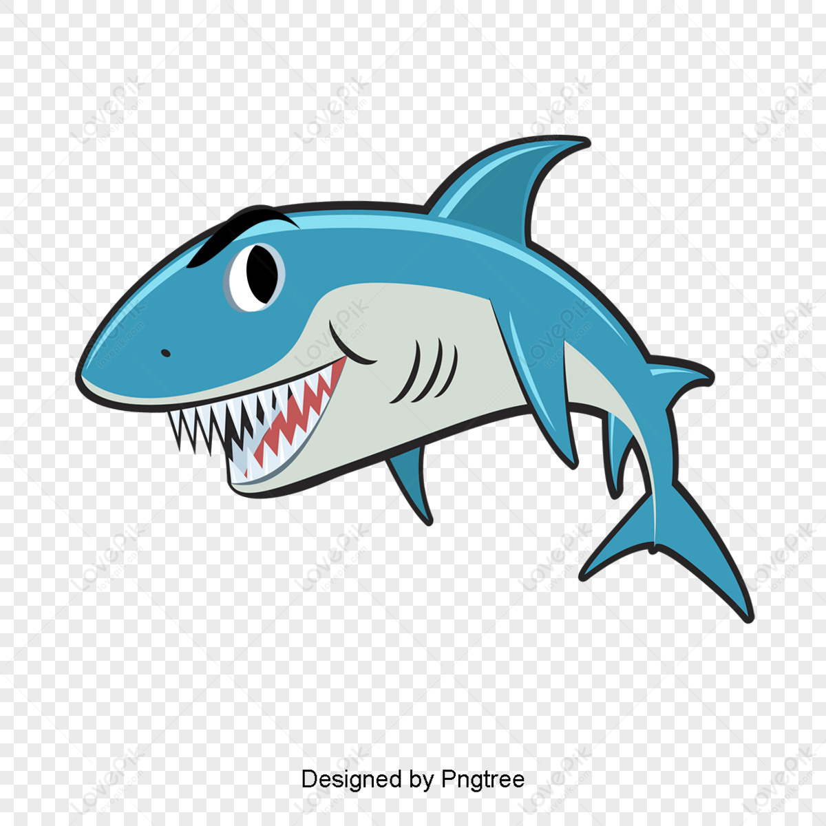 Vector Shark,baby Shark PNG Free Download And Clipart Image For Free ...