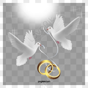 Vector anillo de boda PNG