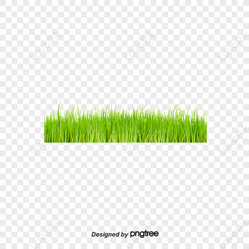 Watercolor Painted Grassvibrantfresh Grasswatercolor Painting Png