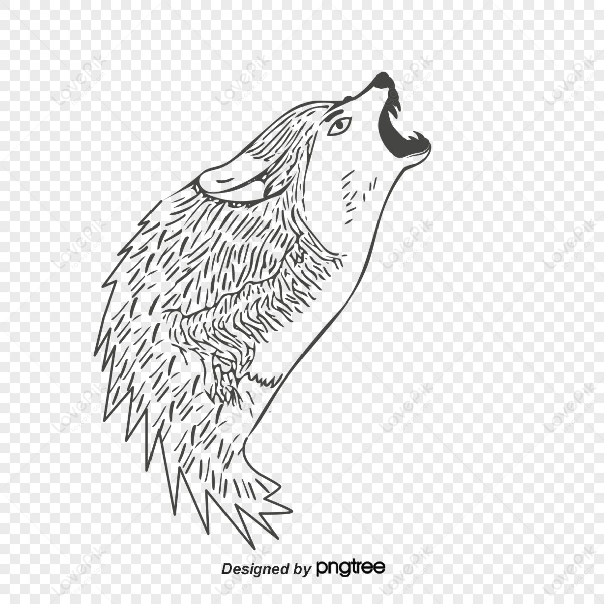 Wolf Vector,wolf Sketch,pencil Drawing,wolf Head PNG Transparent And