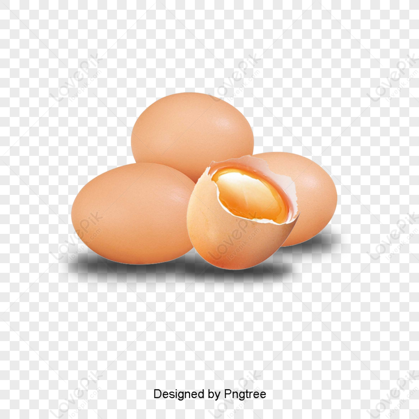 clipart oeufs