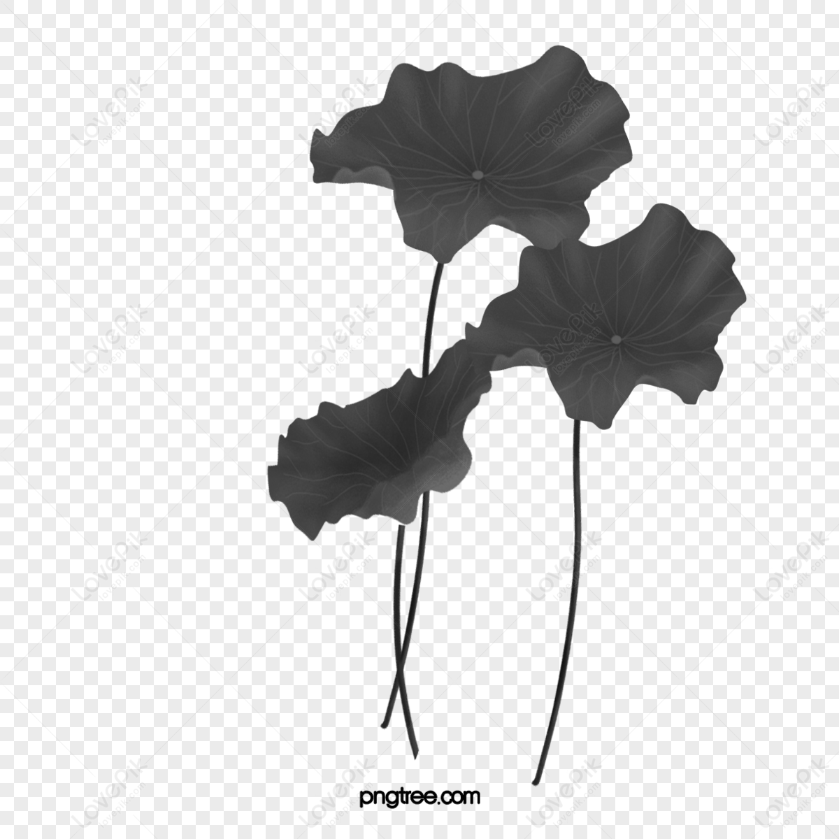 PNG. black ink <b>flowers</b>,decorated,<b>flower</b> material,<b>flowers</b> material png image...