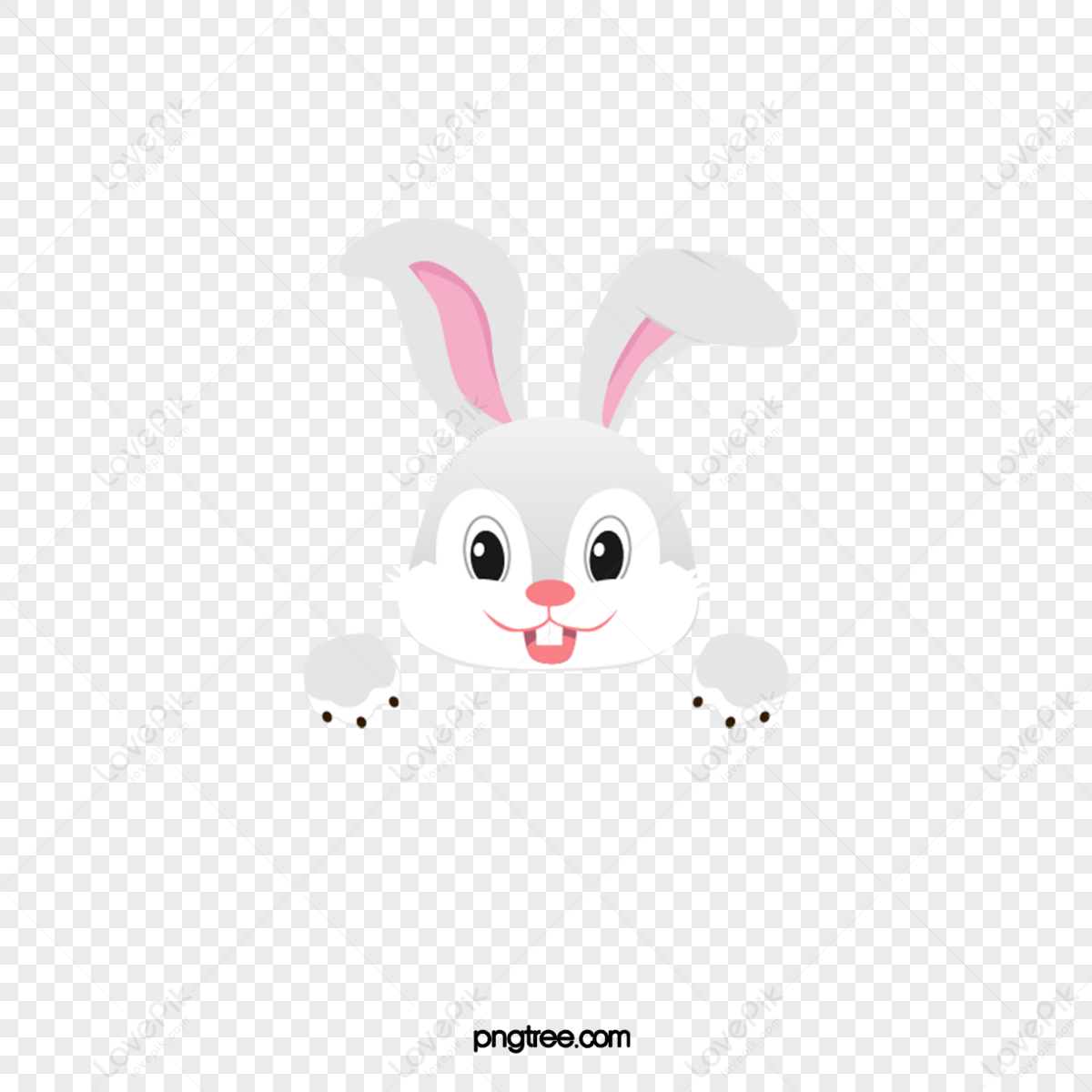 Cartoon Little White Rabbit,the Little Rabbit,graphic,character PNG