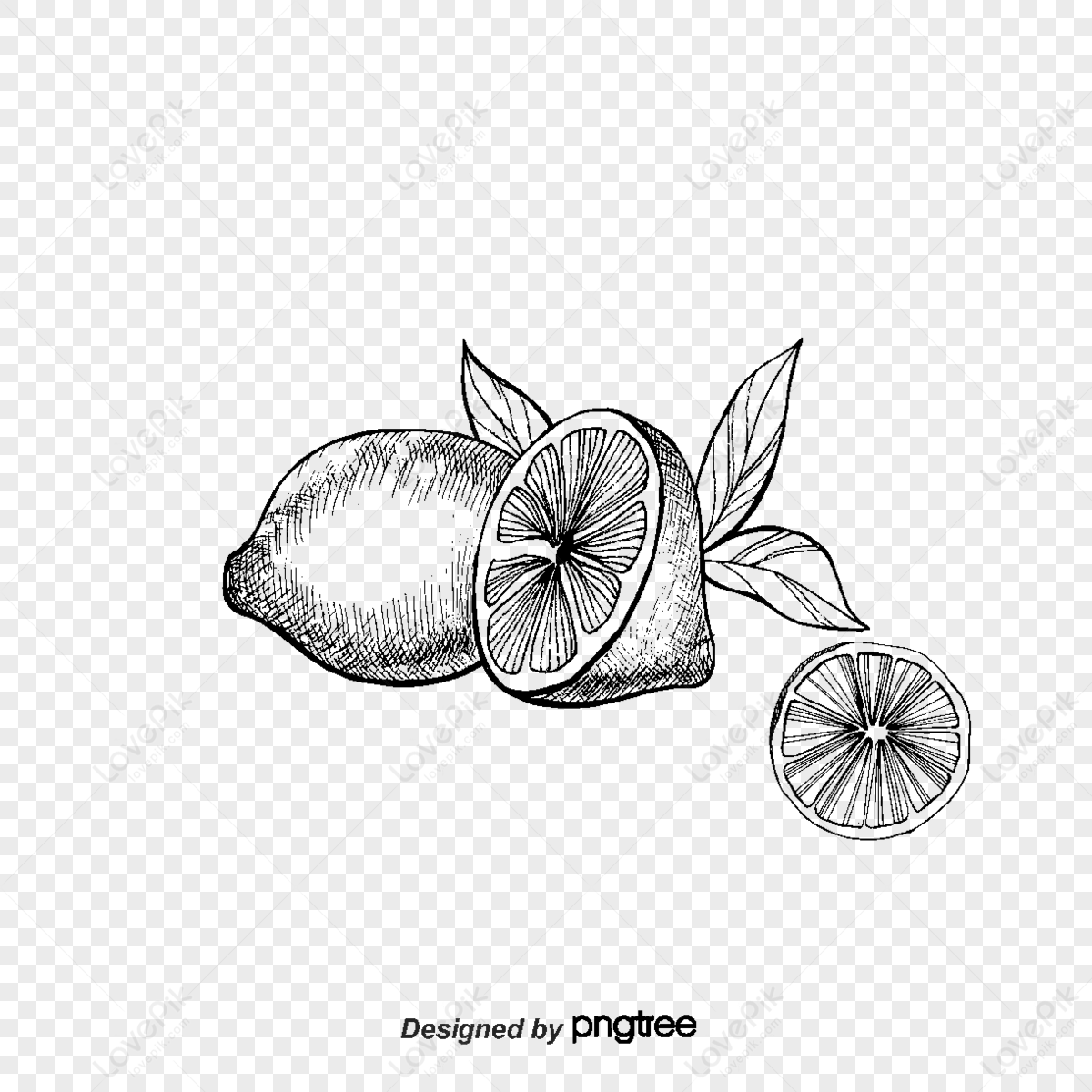 Frutti Di Limoni Freschi Sani, Limoni, Frutta, Sano Immagine PNG e clipart  per il download gratuito