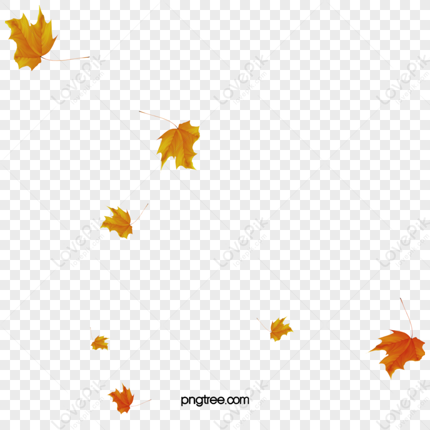 Falling Leaves,autumn,floating,falling Down PNG Image Free Download And ...