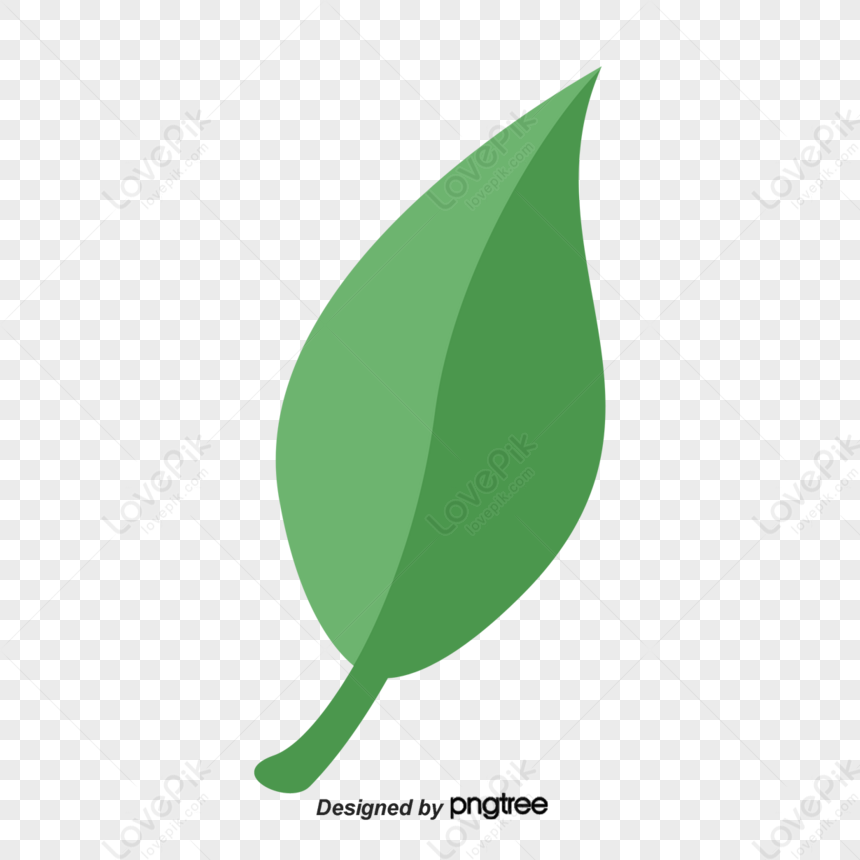 vector de hoja de té verde png