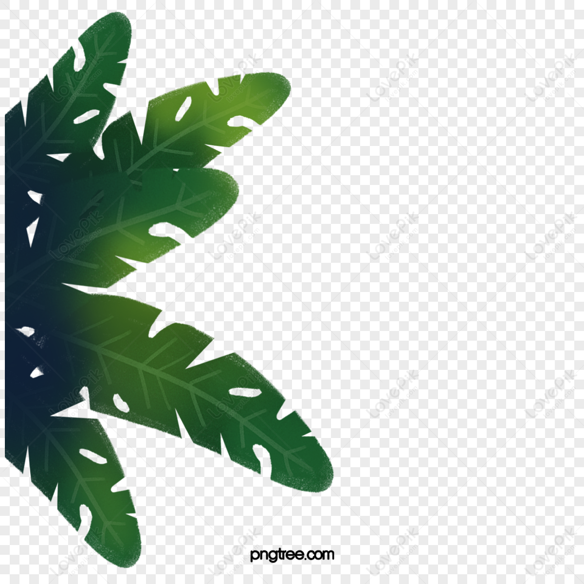 Green Banana Leaves Png Images With Transparent Background 