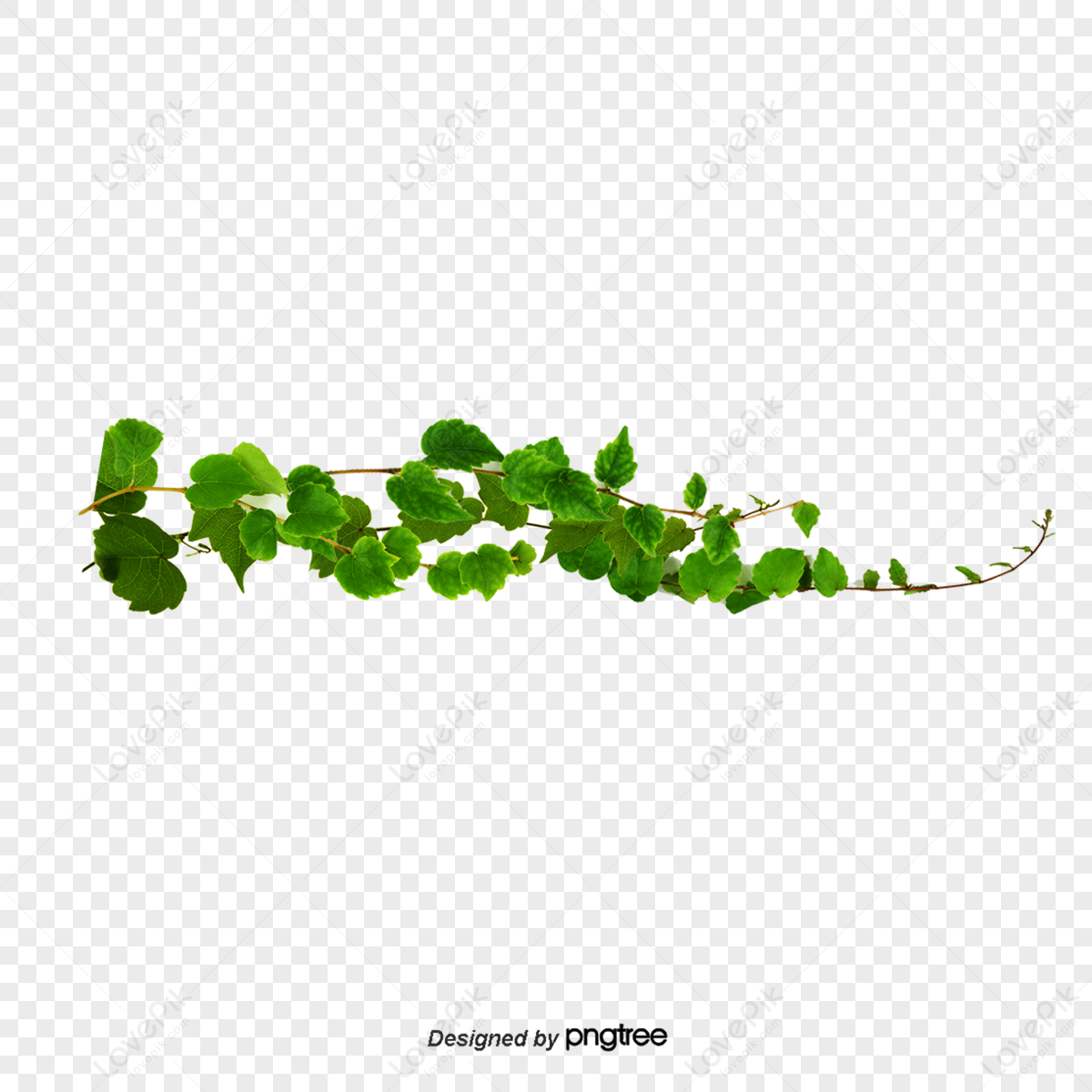 Creepers png images