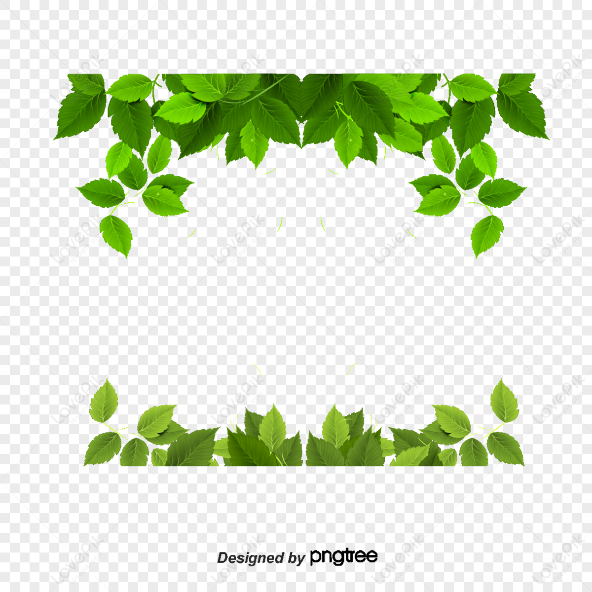 Leaf Floral Background PNG Images With Transparent Background | Free ...