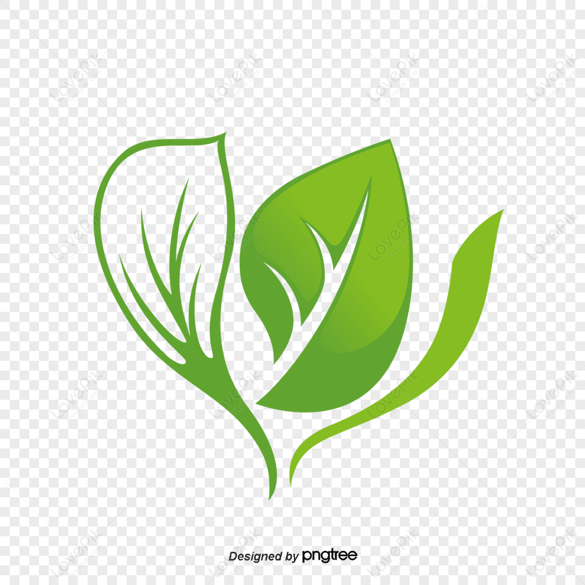 Green Leaf Logo png download - 1526*1533 - Free Transparent Logo png  Download. - CleanPNG / KissPNG