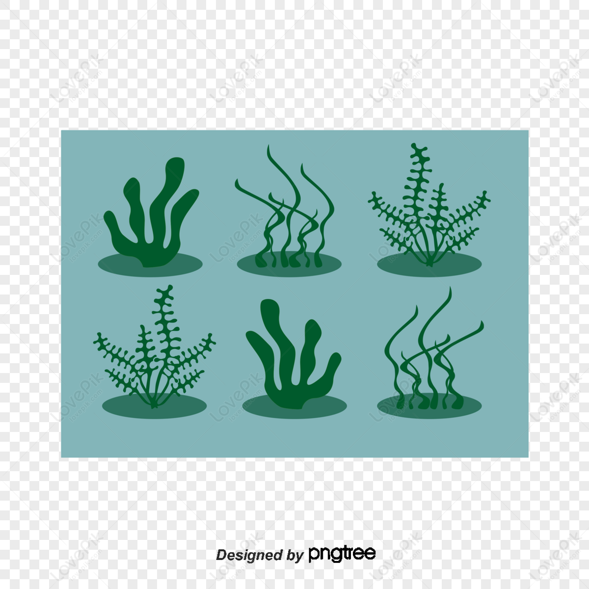 Desenhos Animados Algas Waterweed Pintados à Mão Em Aquarela PNG Imagens  Gratuitas Para Download - Lovepik