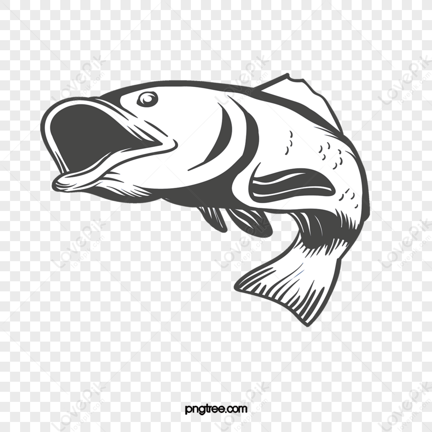 Grey Carp,jumping Fish,jump Up,jumping Up PNG Image And Clipart Image ...