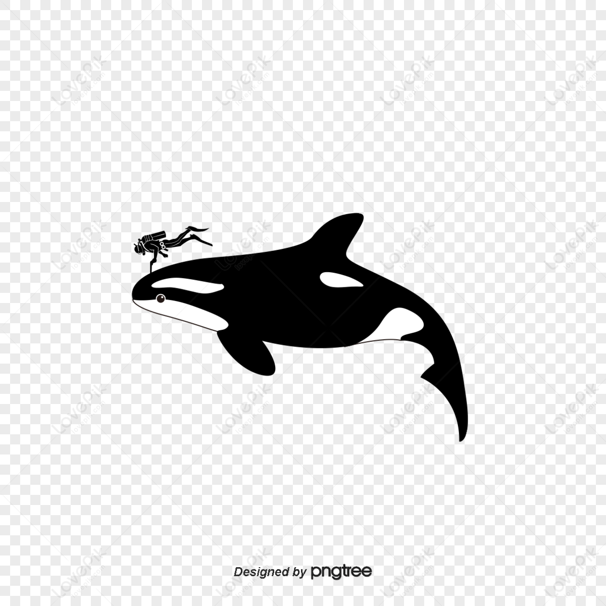 Large Blue Whale,simple,ocean PNG Transparent Image And Clipart Image