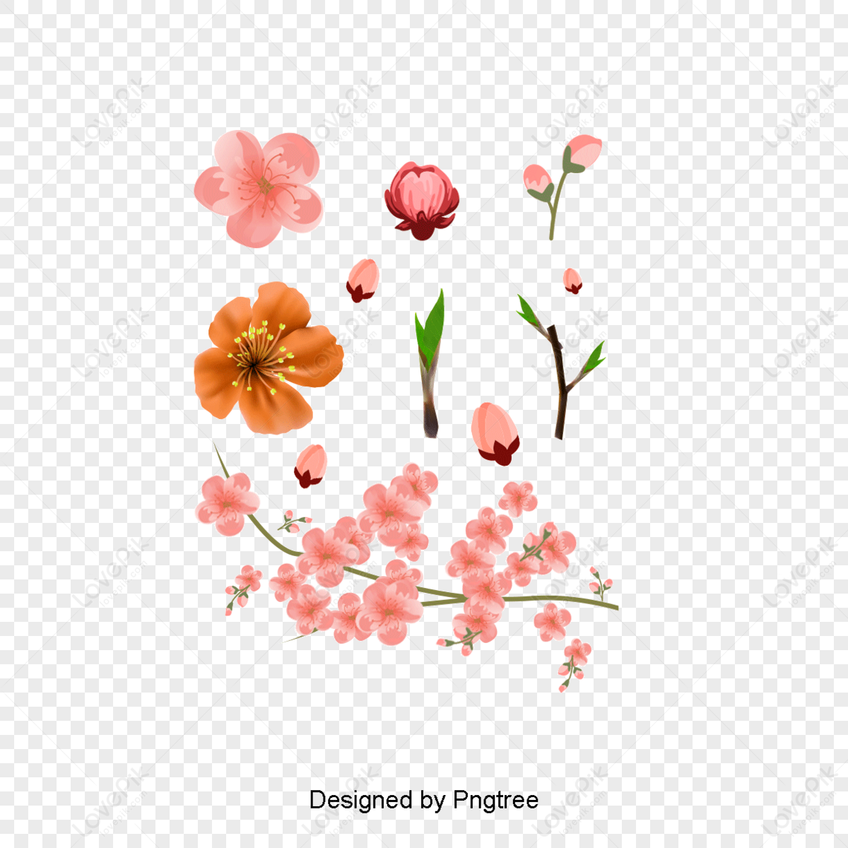 Peaches Vector PNG Images With Transparent Background | Free Download ...