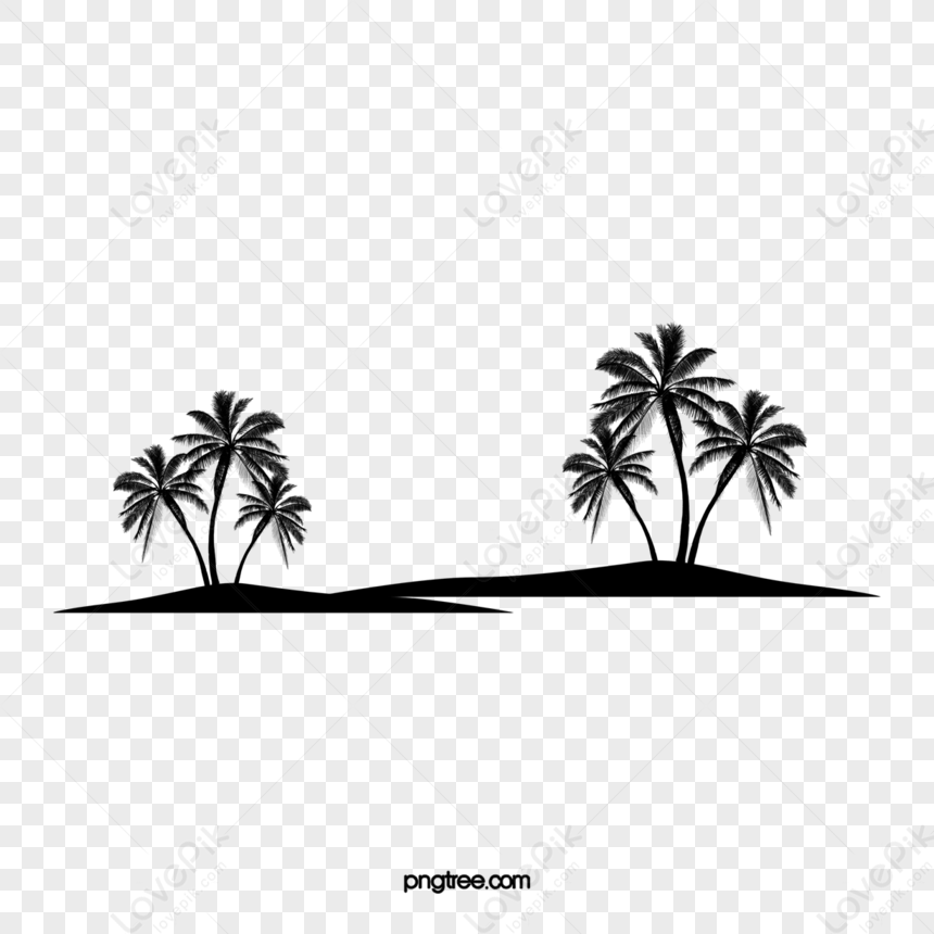 Vector Black Coconut Tree Silhouette,natural,traditional PNG Image And ...