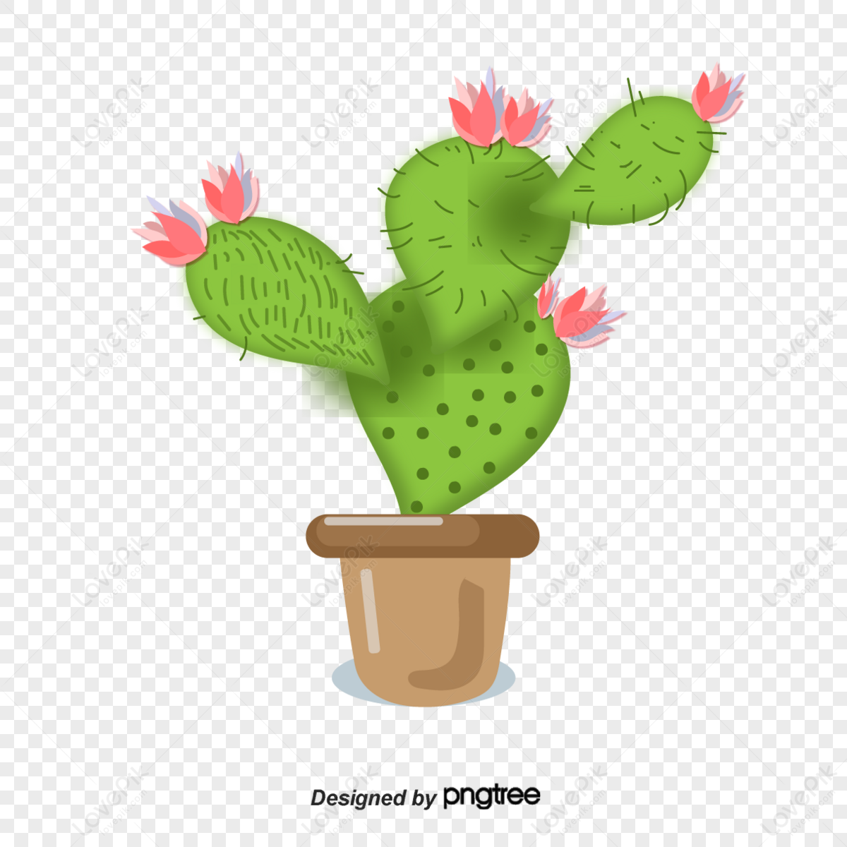 Cartoon Cactus PNG Images, Cartoon Clipart, Hand Painted, Cactus PNG  Transparent Background - Pngtree