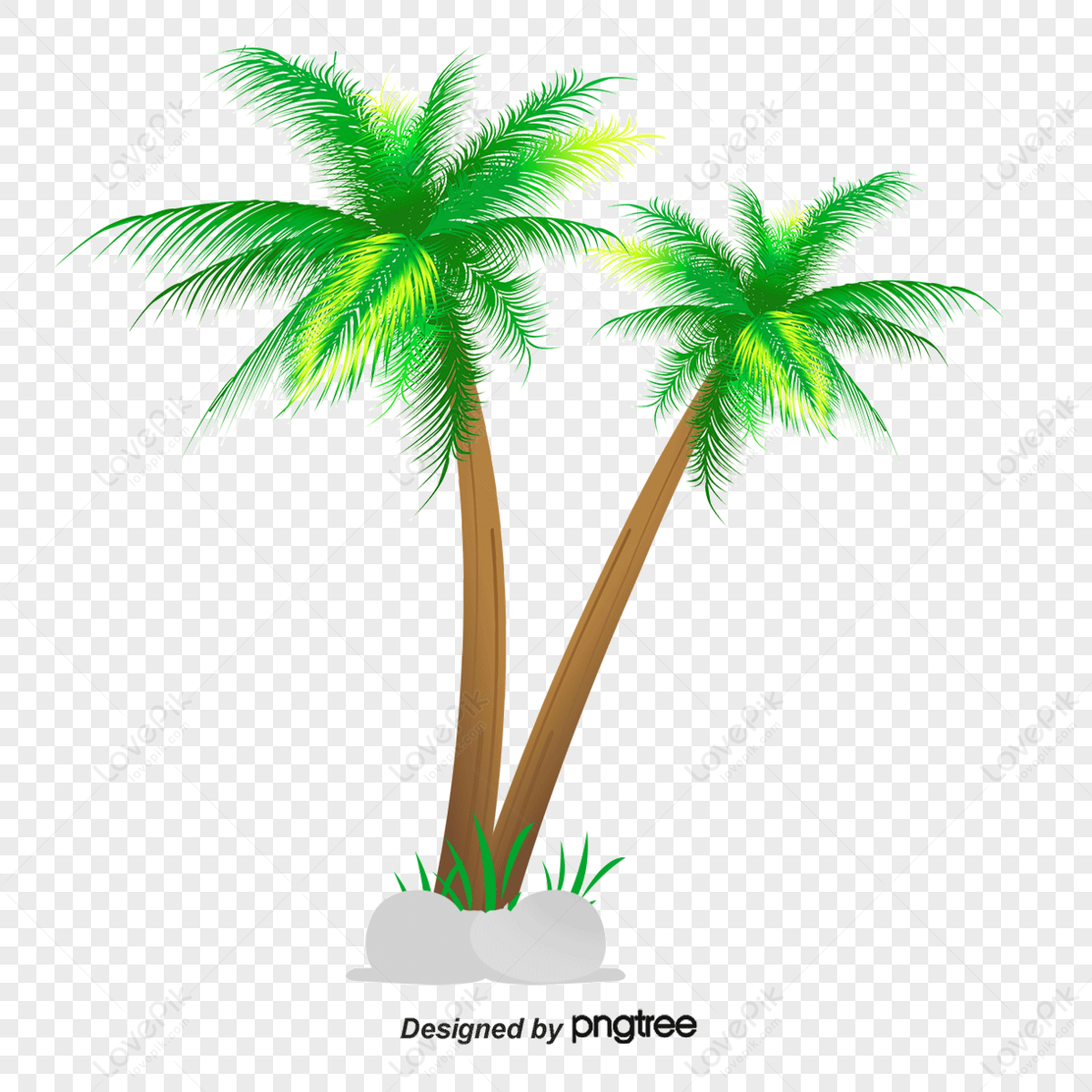 Vector Map Of Coconut Trees,green Coconut Trees,leaf,green Coconut Tree ...