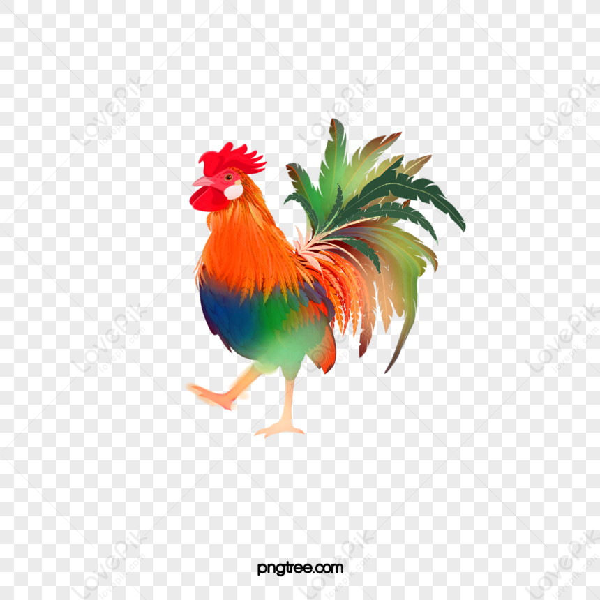 Watercolor Animals Chicken,paint,pictures,png Picture PNG Image Free ...