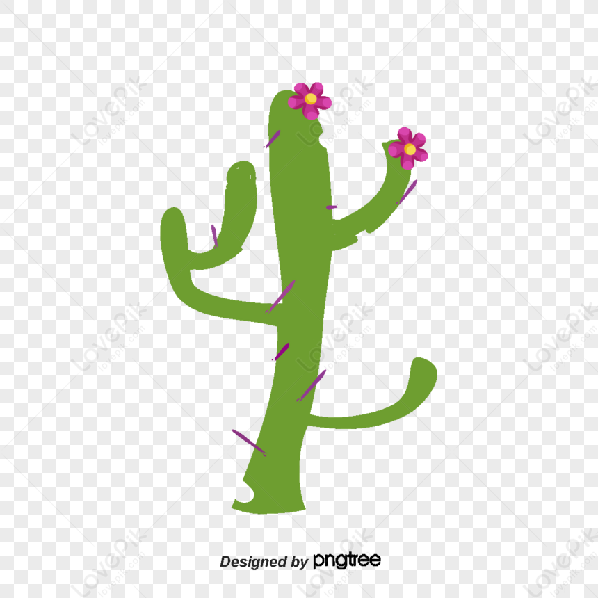 Rounded Cactus PNG, Vector, PSD, and Clipart With Transparent