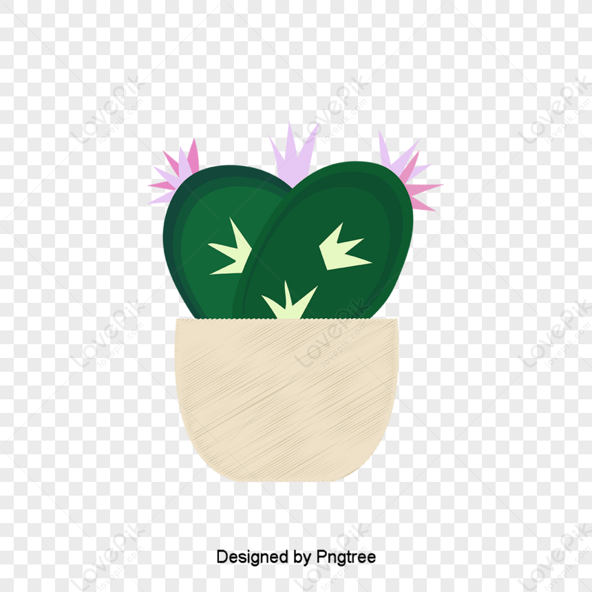 Cartoon Cactus PNG Images, Cartoon Clipart, Hand Painted, Cactus PNG  Transparent Background - Pngtree