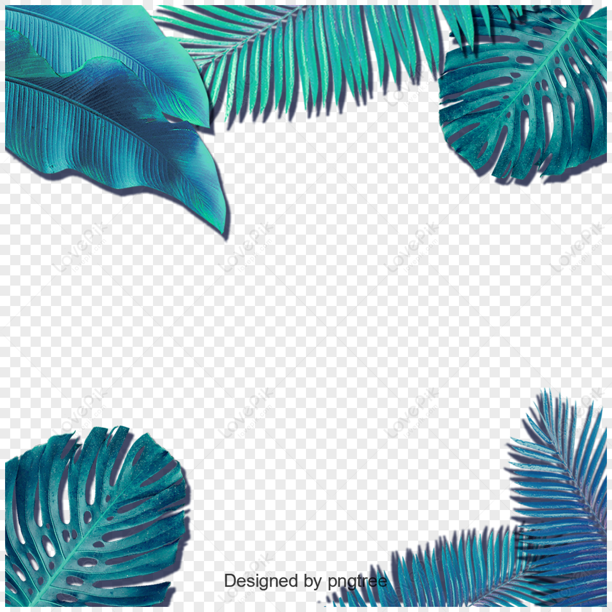 Tropical Leaf Images, HD Pictures For Free Vectors Download 