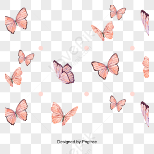 Cartoon Butterfly PNG Images With Transparent Background | Free ...