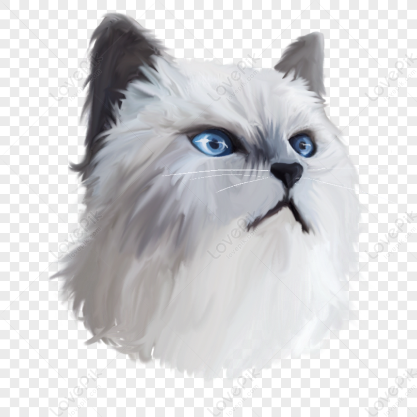 Blue Eyes White Cat Head Elements,catamount,pet PNG Transparent ...