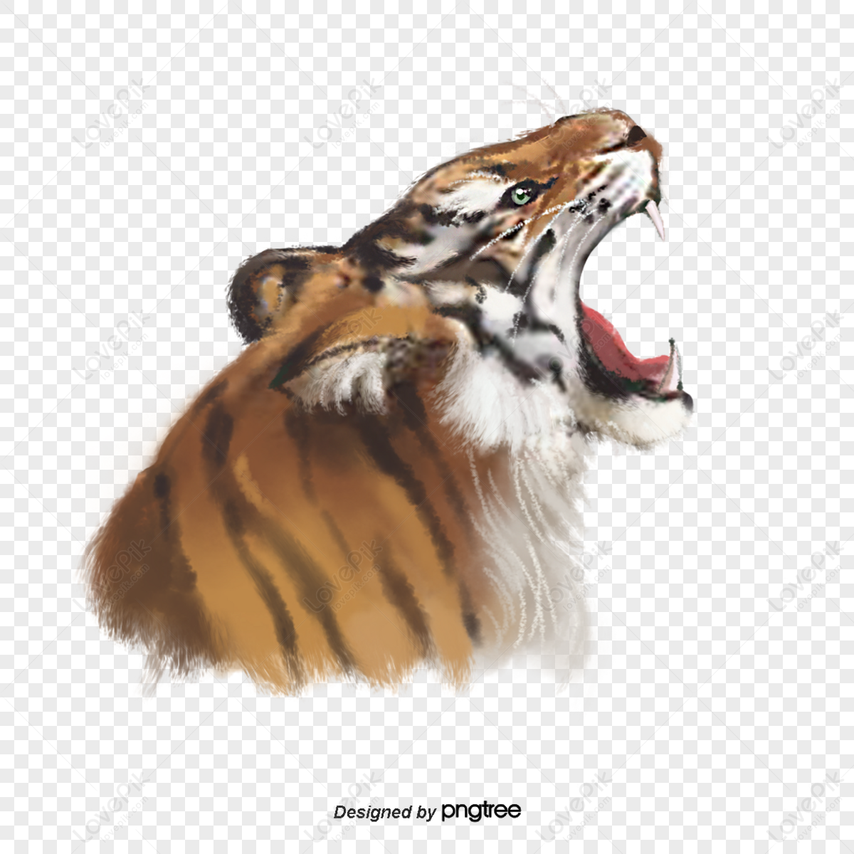 Roaring Tiger Images, HD Pictures For Free Vectors Download - Lovepik.com