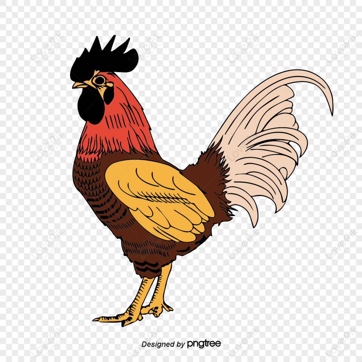 Thịt gà phim Hoạt hình Vẽ - con gà trống png tải về - Miễn phí trong suốt Gà  png Tải về.