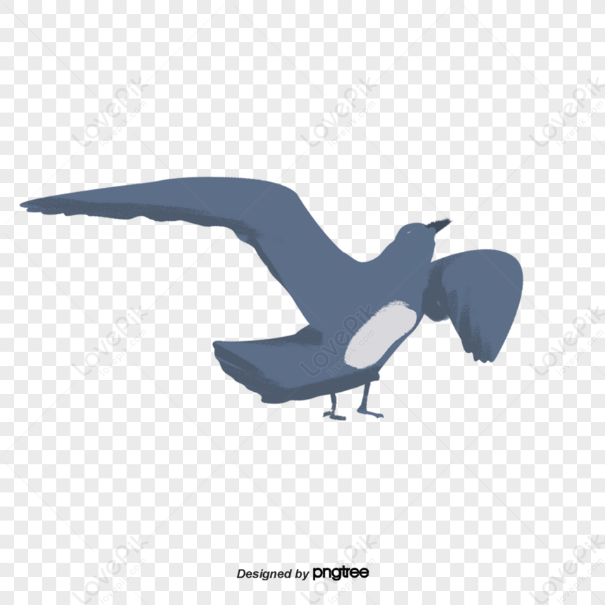 A Little Blue-black Swallow,sky,flight,spring Png Free Download And 