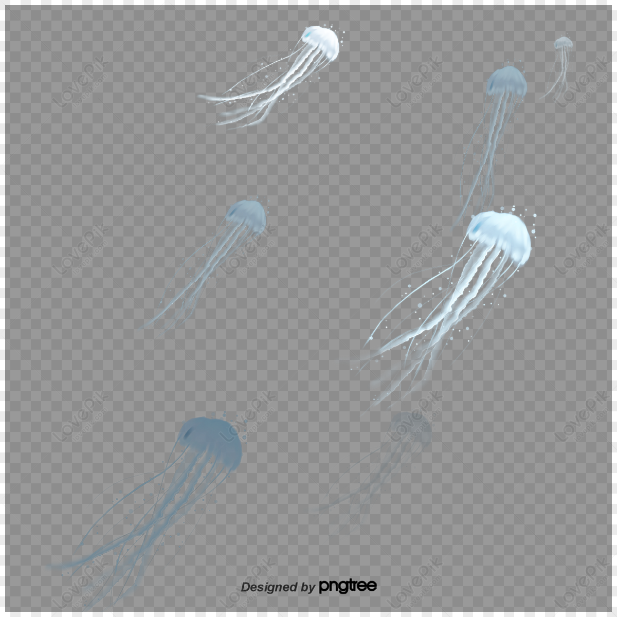 Blue Marine Creature Jellyfish,cartoon,ocean,scenes Png Transparent 