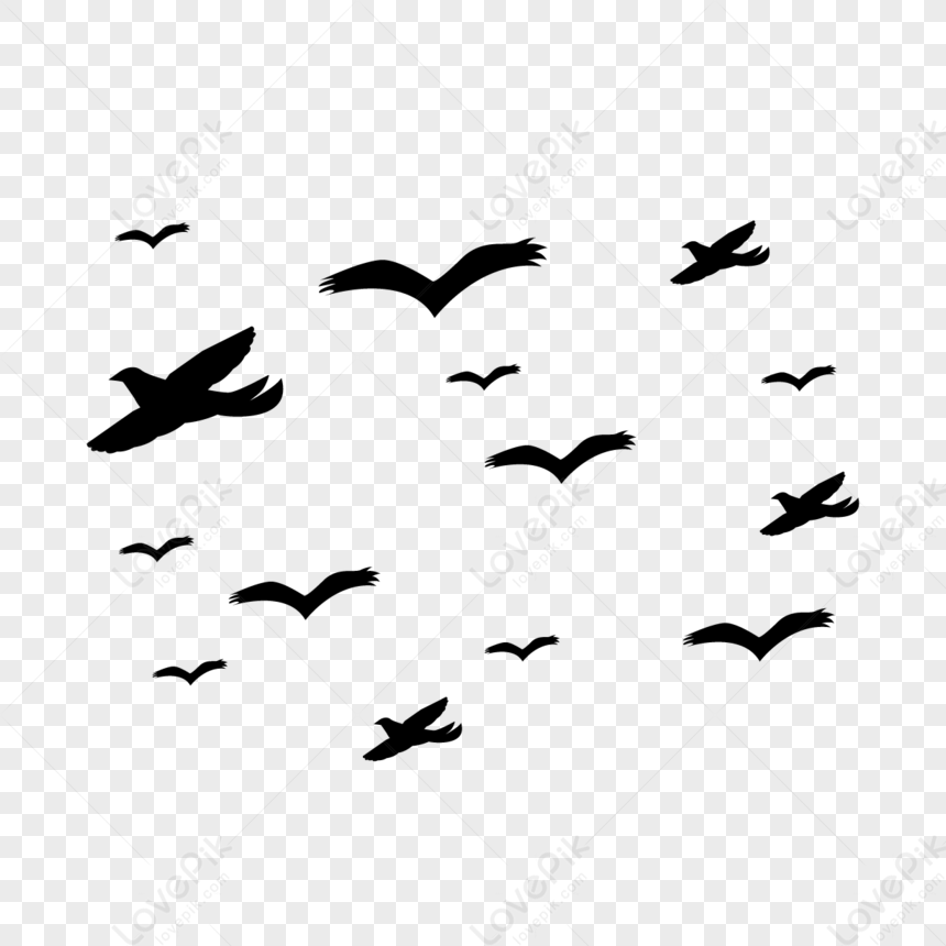 Cartoon Black Goose Group,wild Goose,scene,scenes PNG White Transparent