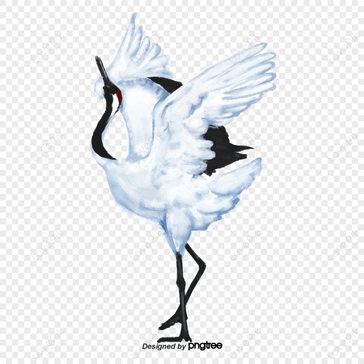 Cartoon Ink Painting Red Crowned Crane Scene The Red Crowned Crane Grace Png Hd Transparent