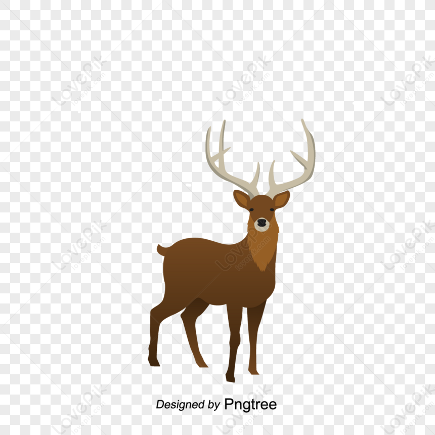 Cartoon-style Animal Deer,anime,fawn,illustration PNG Free Download And ...