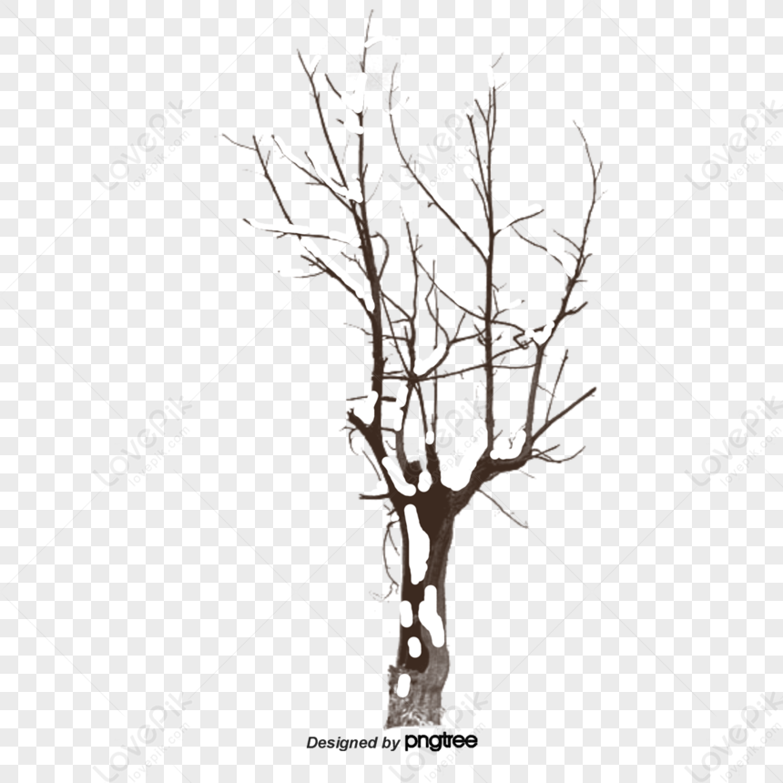 Isolated silhouette of bare tree without leaves on white background. Stock  Illustration | Adobe Stock