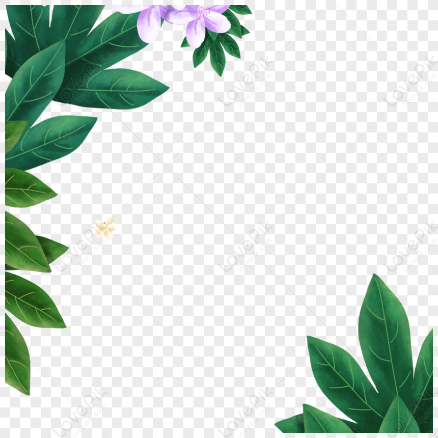 Fresh Hand-painted Border Of Green Tropical Plants,white,sky PNG Image ...