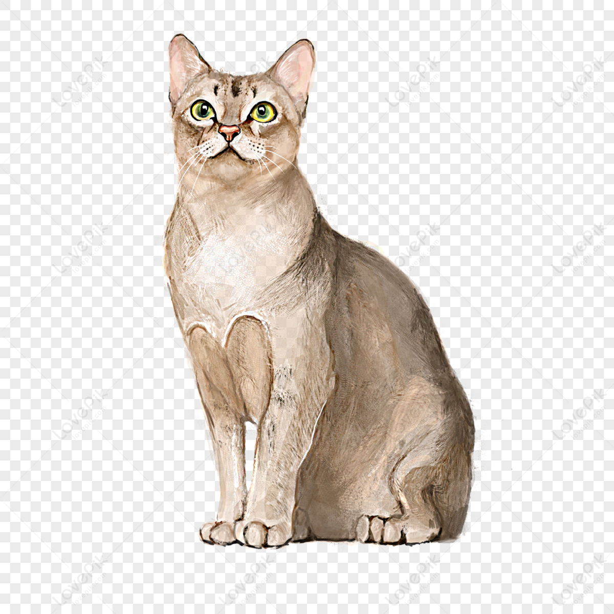 Smart Cat PNG Images With Transparent Background | Free Download On Lovepik